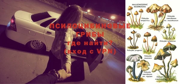 соль ск Аркадак