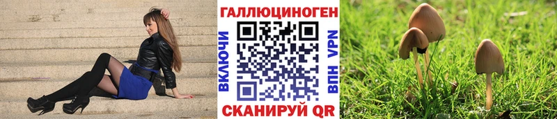 Псилоцибиновые грибы GOLDEN TEACHER  omg как войти  Пушкино 